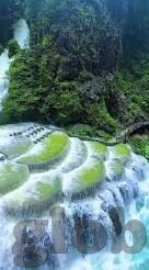 太古仙尊下载九游-太古仙尊下载九游，解锁你的仙境冒险之旅
