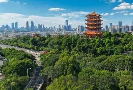 足球比分怎么算队-足球比分计算全解析，如何精准判定队的胜负与排名